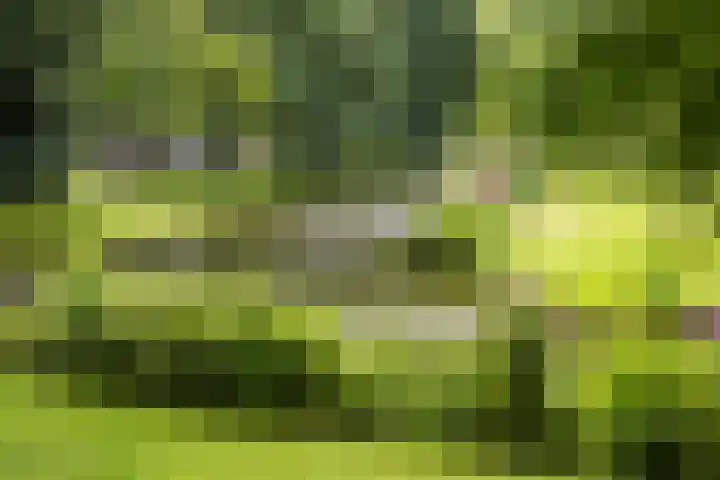 Doezastraat 15 A Rotterdam thumbnail 53