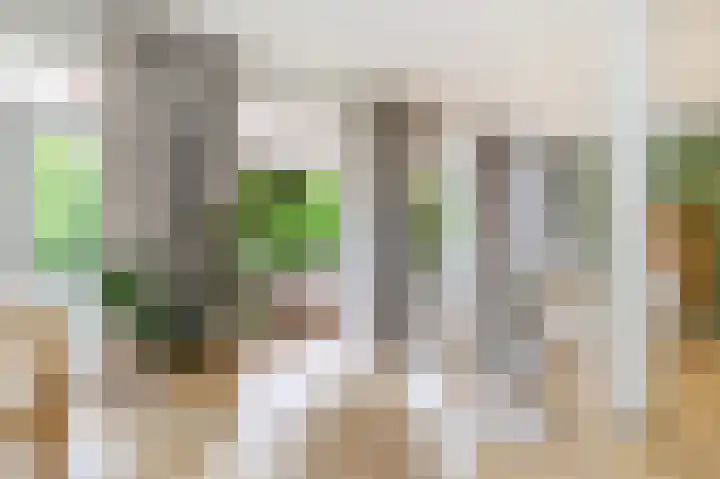 Doezastraat 15 A Rotterdam thumbnail 58