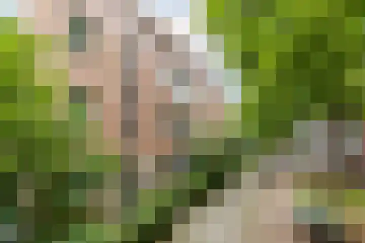 Doezastraat 15 A Rotterdam thumbnail 6