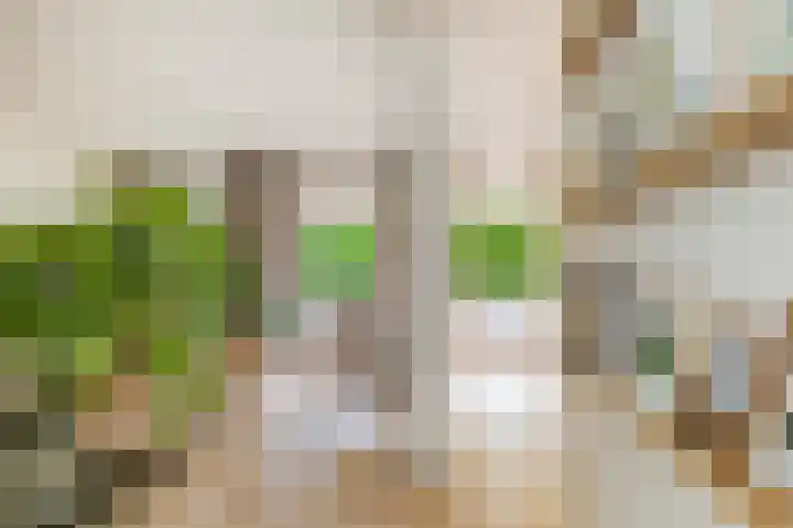 Doezastraat 15 A Rotterdam thumbnail 8