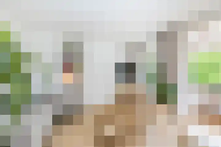 Doezastraat 15 A Rotterdam thumbnail 9