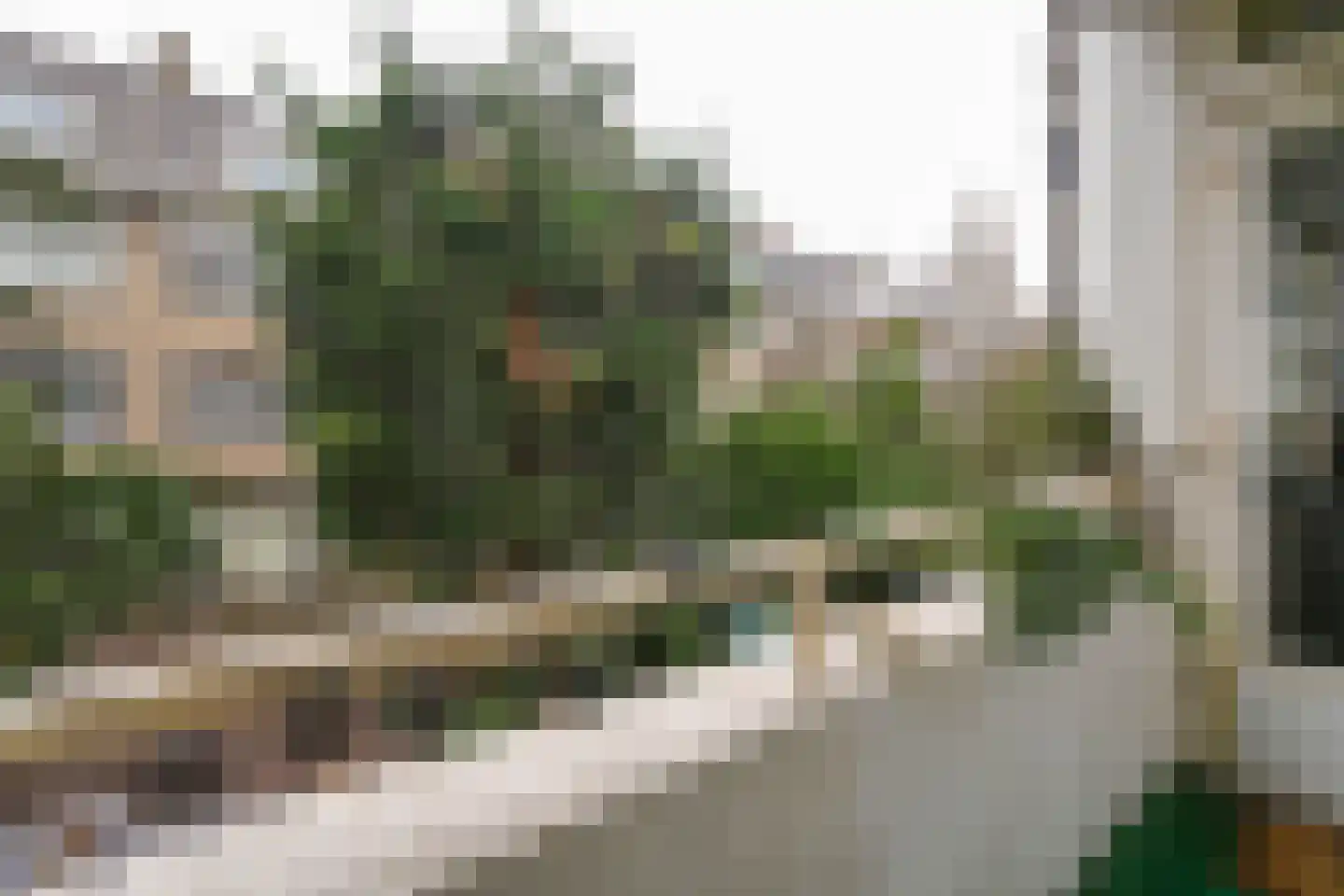 Doezastraat 19 A 01 Rotterdam thumbnail 15