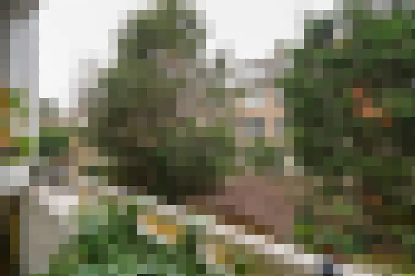 Doezastraat 19 A 01 Rotterdam thumbnail 6