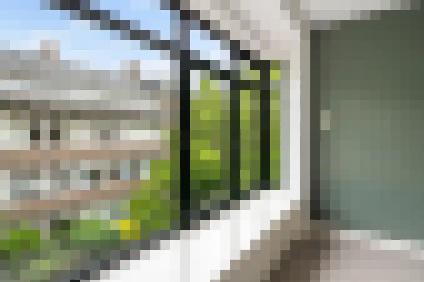 Doezastraat 28 A 01 Rotterdam thumbnail 15