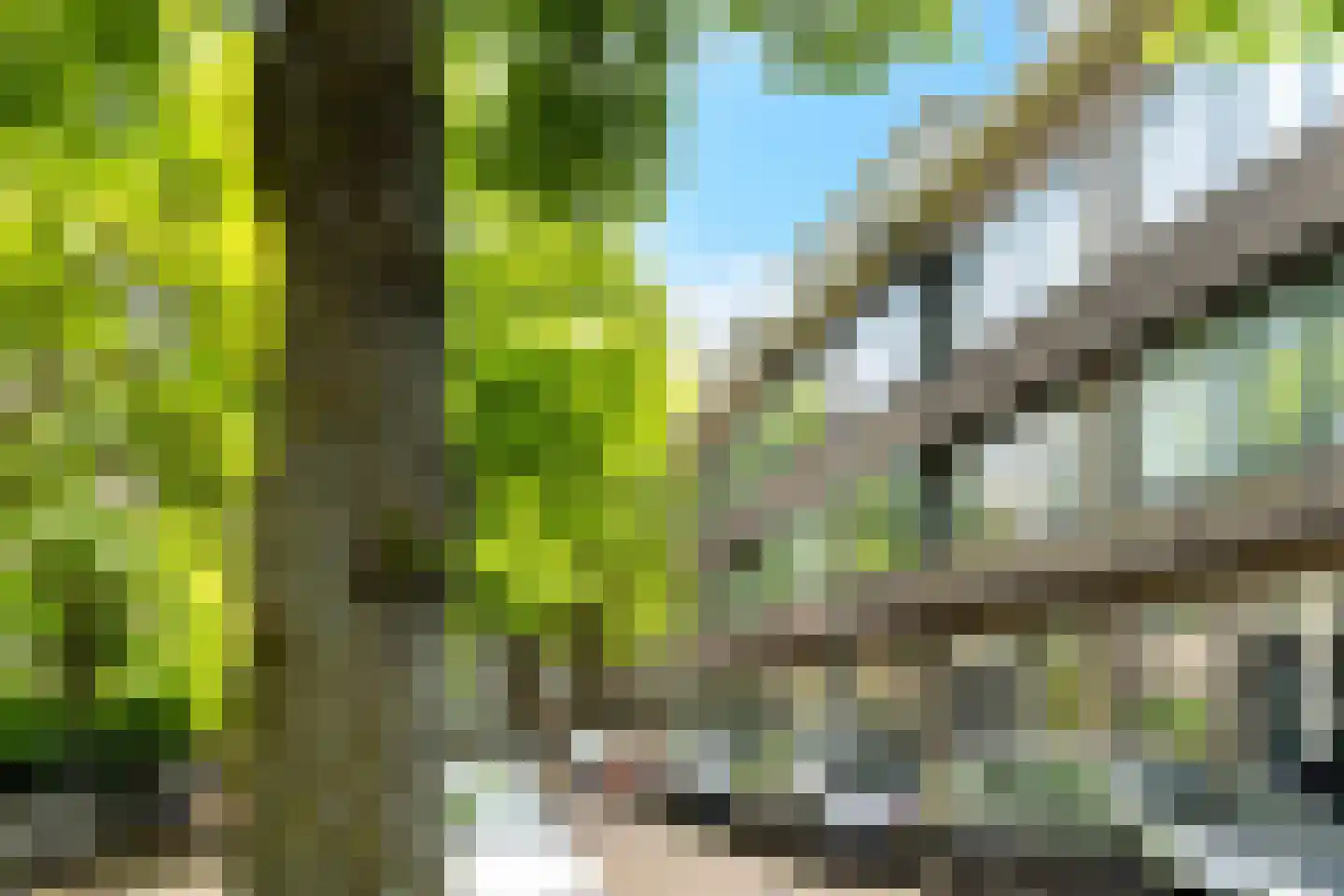Doezastraat 28 A 01 Rotterdam thumbnail 47