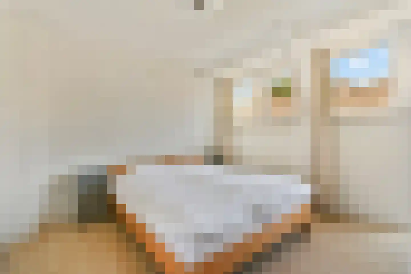 Doezastraat 29 B Rotterdam thumbnail 21