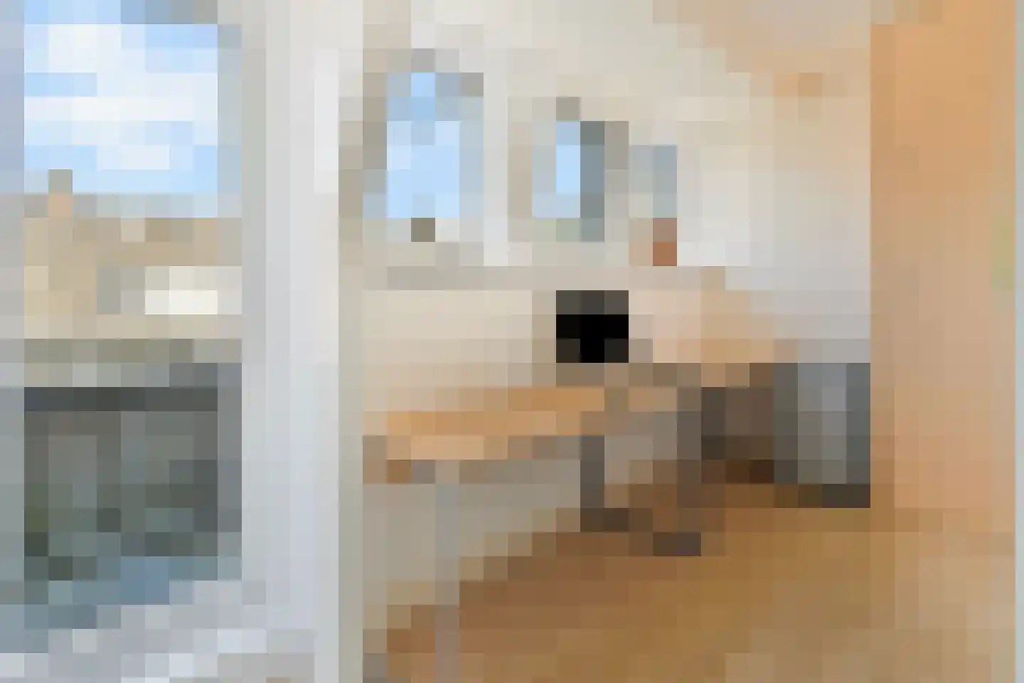 Doezastraat 29 B Rotterdam thumbnail 23