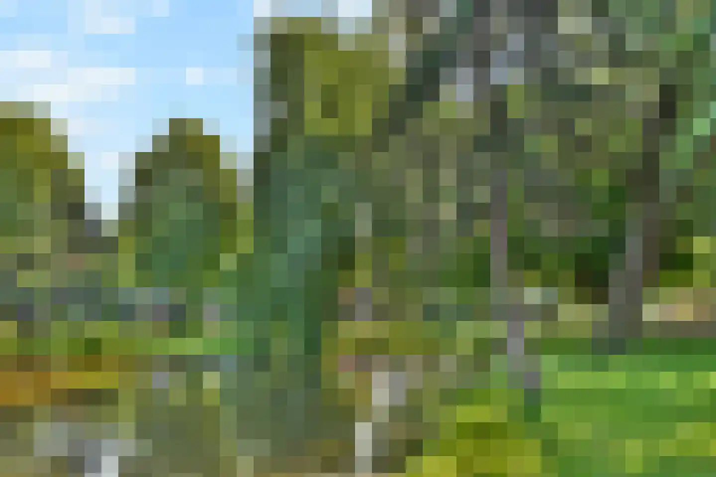 Doezastraat 29 B Rotterdam thumbnail 28