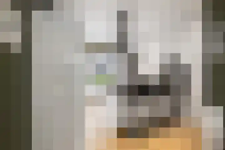 Doezastraat 4 A Rotterdam thumbnail 18
