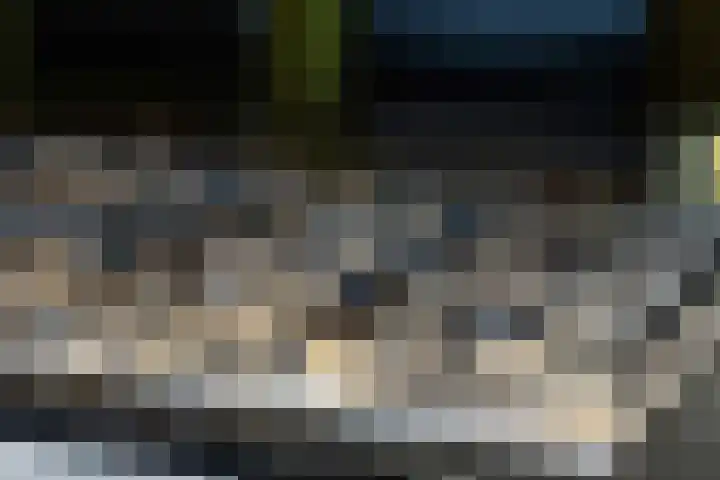 Doezastraat 4 A Rotterdam thumbnail 19