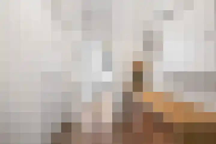 Doezastraat 4 A Rotterdam thumbnail 24