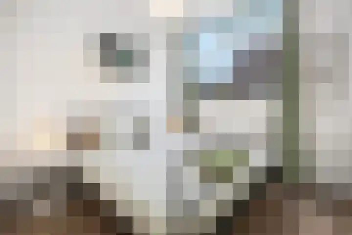 Doezastraat 4 A Rotterdam thumbnail 27