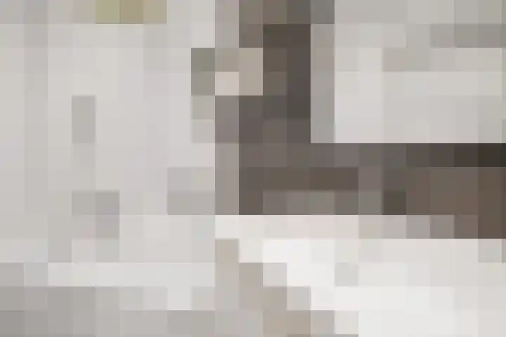 Doezastraat 4 A Rotterdam thumbnail 30