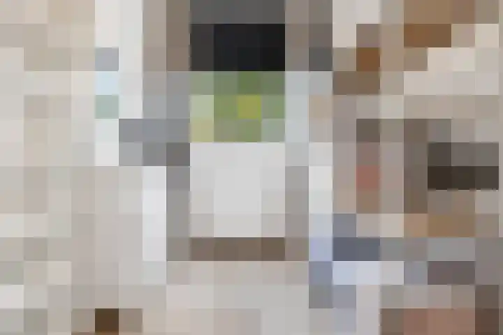 Doezastraat 4 A Rotterdam thumbnail 36