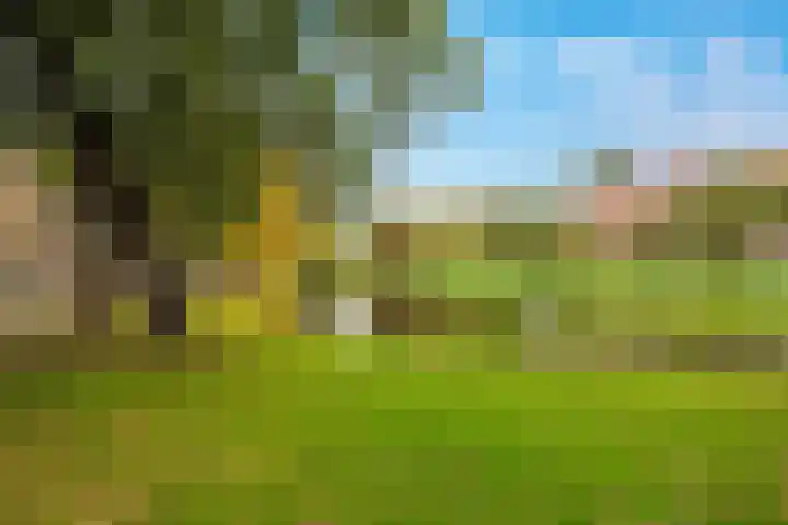 Doezastraat 4 A Rotterdam thumbnail 39