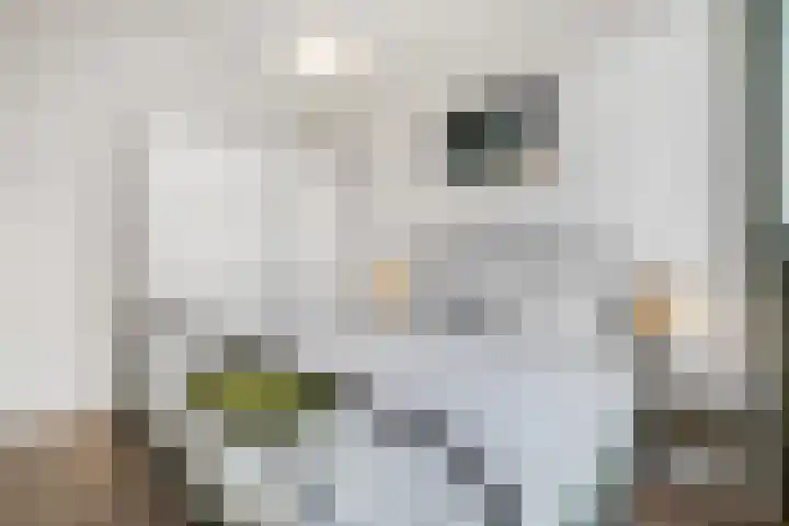Doezastraat 4 A Rotterdam thumbnail 4