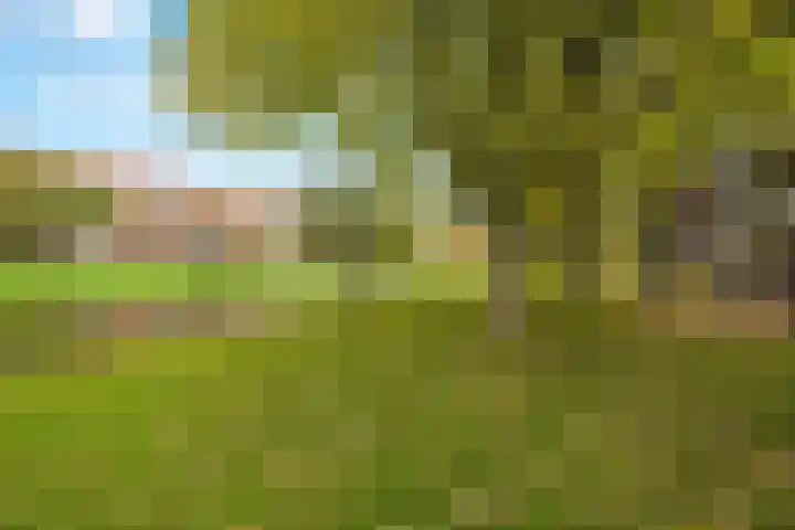 Doezastraat 4 A Rotterdam thumbnail 40