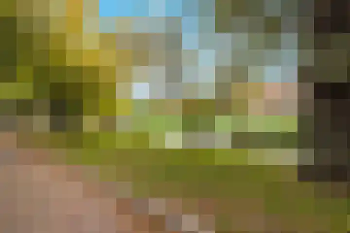 Doezastraat 4 A Rotterdam thumbnail 43