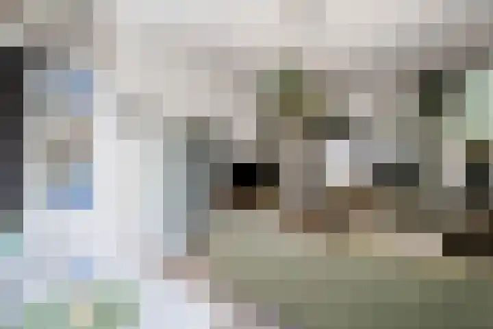 Doezastraat 4 A Rotterdam thumbnail 7