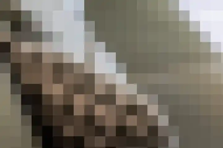 Doezastraat 4 A Rotterdam thumbnail 8