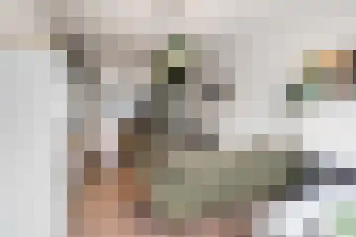 Doezastraat 4 A Rotterdam thumbnail 9