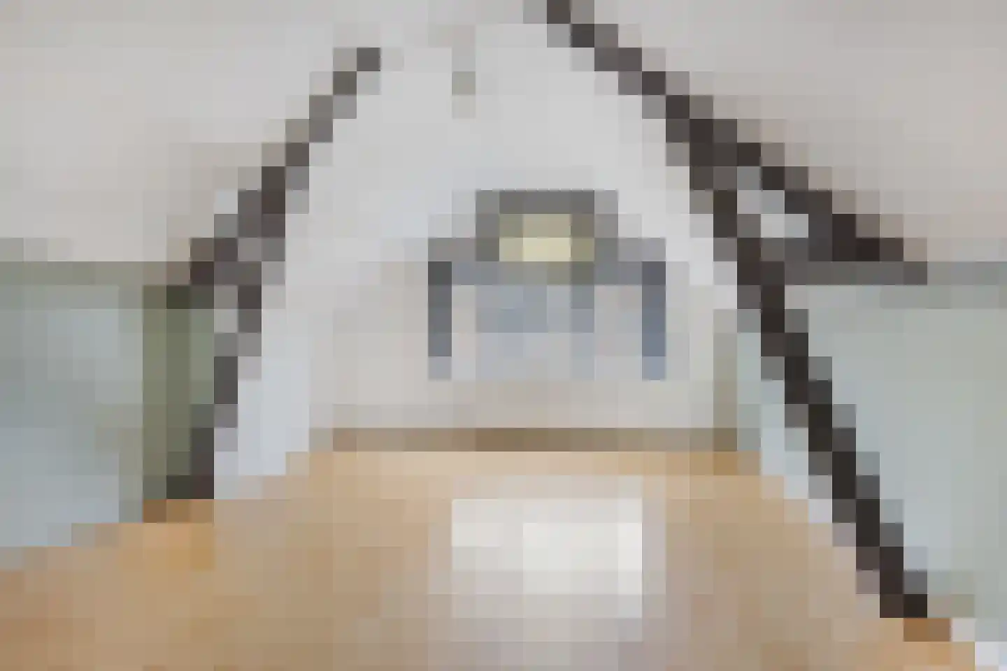 Doezastraat 7 A Leiden thumbnail 21