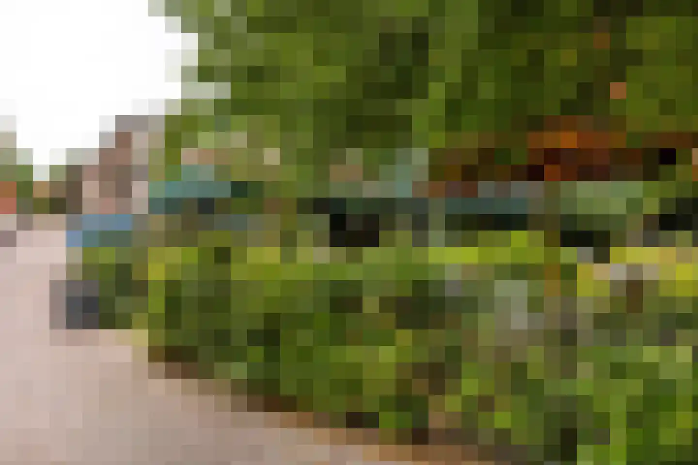 Doezastraat 7 A Leiden thumbnail 26