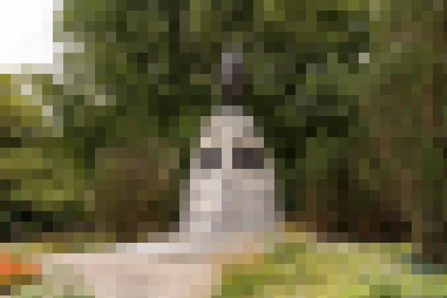 Doezastraat 7 A Leiden thumbnail 28