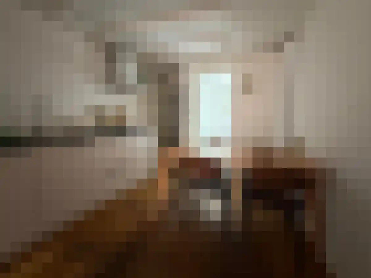 Doezastraat 9 Leiden thumbnail 4