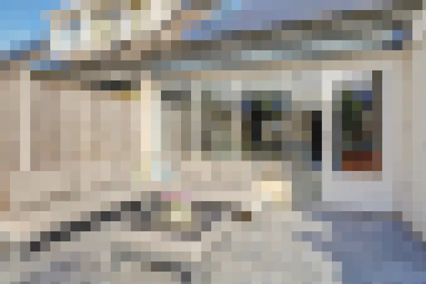 Doggersbank 12 Katwijk thumbnail 49