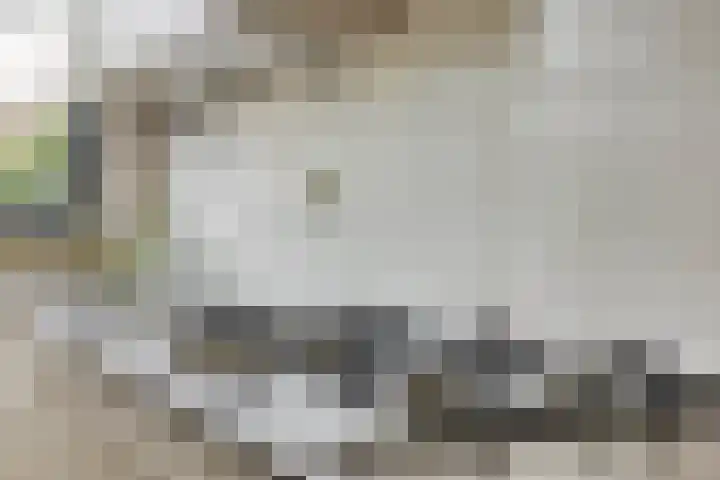 Doggersbank 5 Emmeloord thumbnail 16