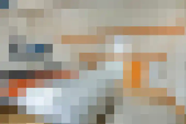 Doggersbank 5 Emmeloord thumbnail 27