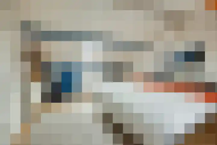 Doggersbank 5 Emmeloord thumbnail 28