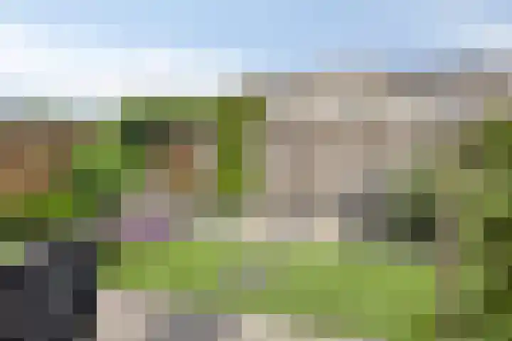 Doggersbank 5 Emmeloord thumbnail 29