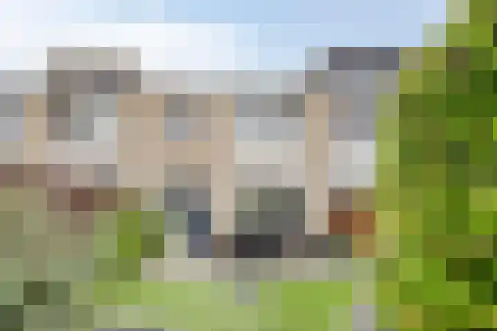 Doggersbank 5 Emmeloord thumbnail 31