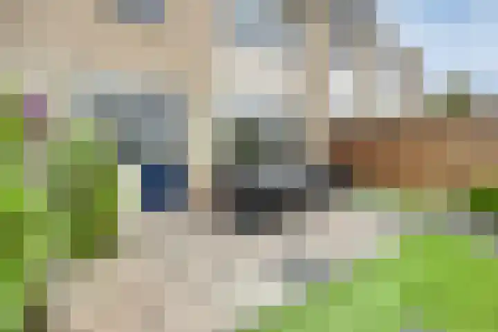 Doggersbank 5 Emmeloord thumbnail 32