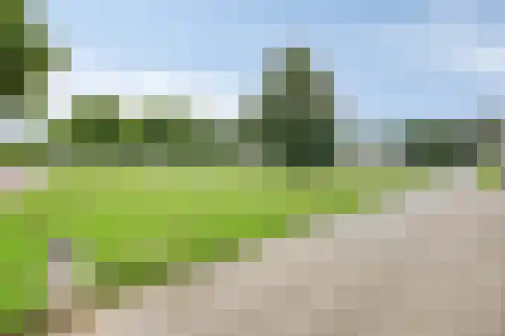 Doggersbank 5 Emmeloord thumbnail 35