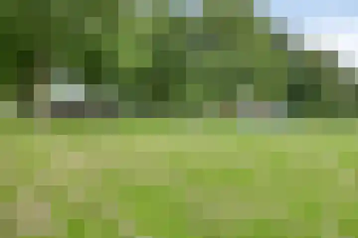 Doggersbank 5 Emmeloord thumbnail 36