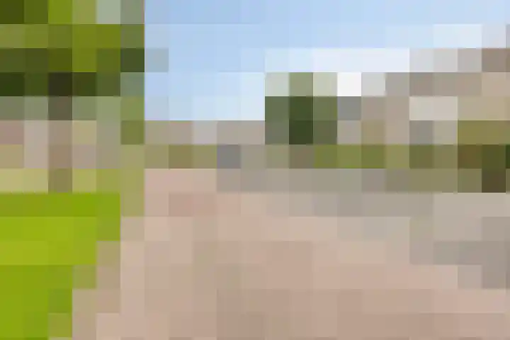 Doggersbank 5 Emmeloord thumbnail 38