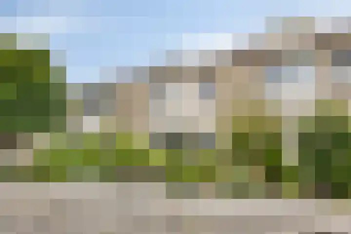 Doggersbank 5 Emmeloord thumbnail 4