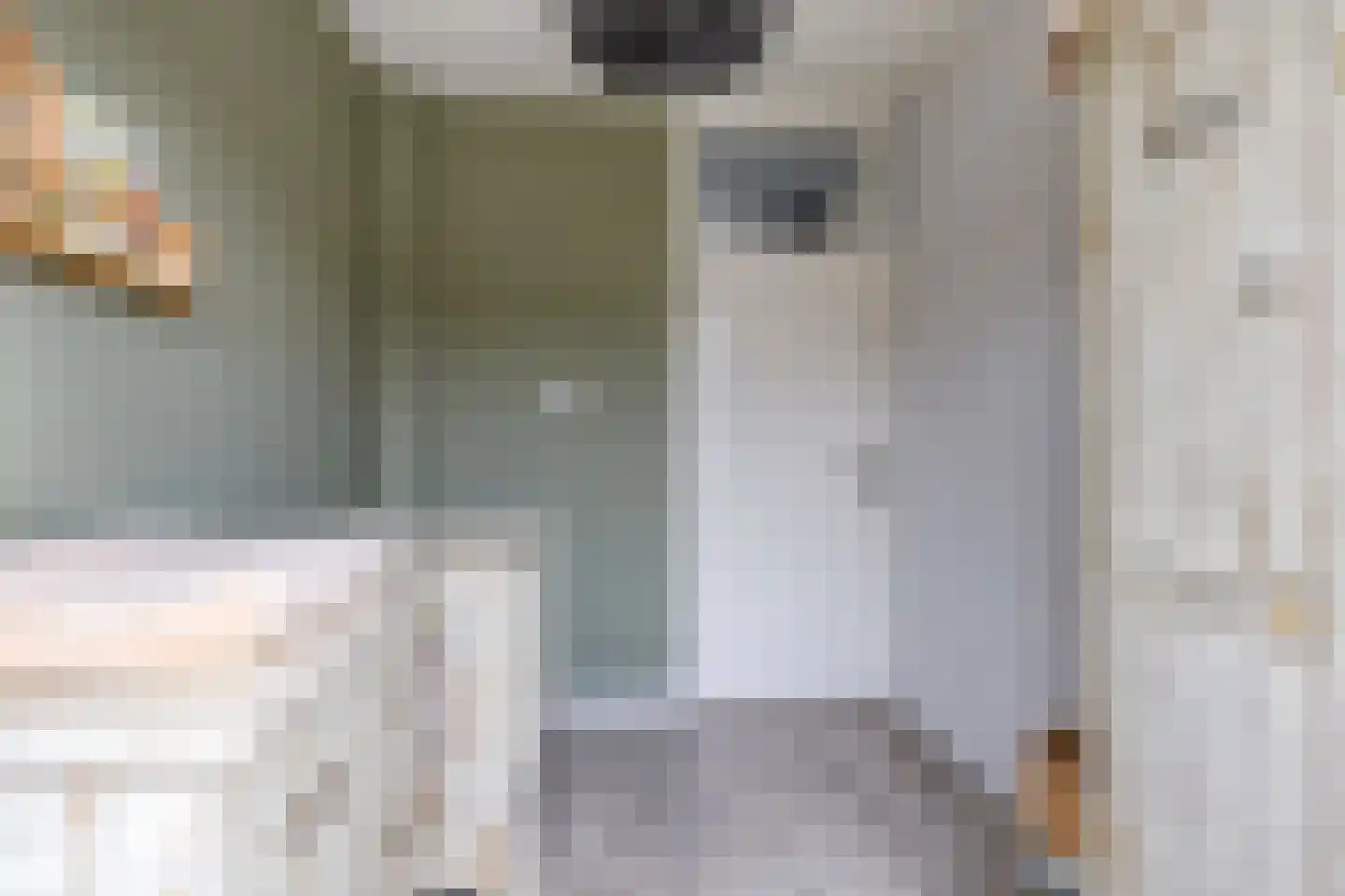 Doggersbank 8 Emmeloord thumbnail 19