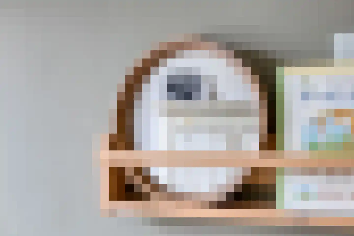 Doggersbank 8 Emmeloord thumbnail 20