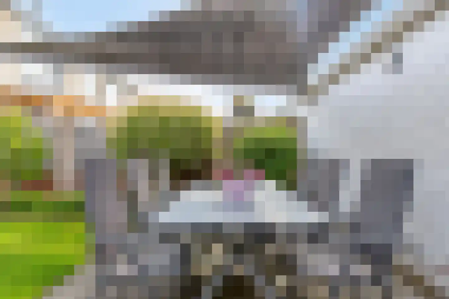 Doggersbank 8 Emmeloord thumbnail 27