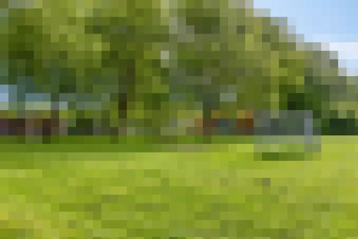 Doggersbank 8 Emmeloord thumbnail 32