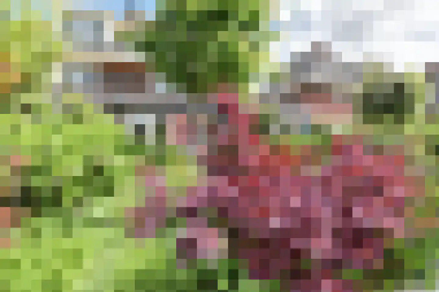 Doggersbanklaan 102 a Gouda thumbnail 60
