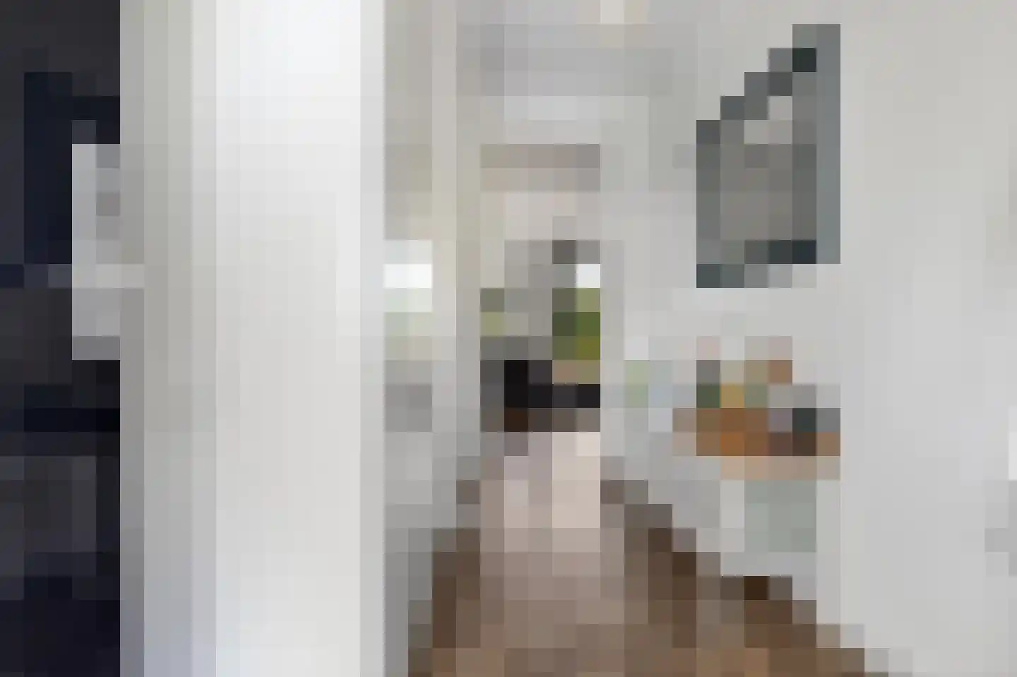 Doggersbanklaan 6 Reeuwijk thumbnail 11