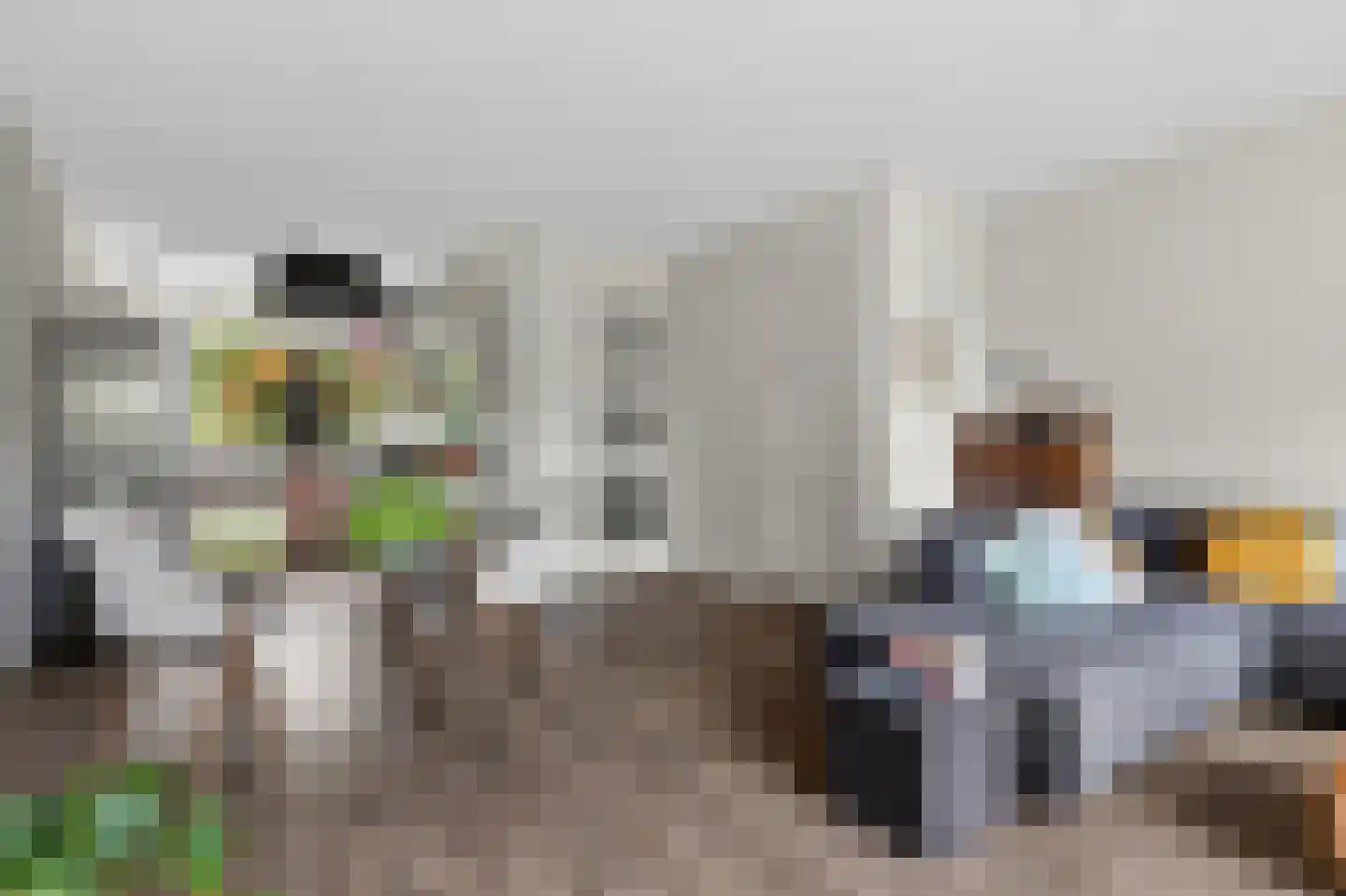 Doggersbanklaan 6 Reeuwijk thumbnail 16