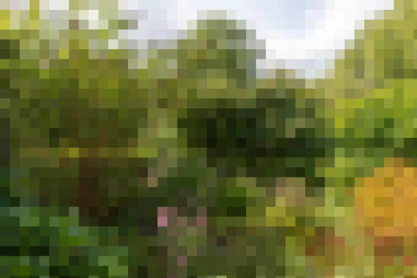 Doggersbanklaan 6 Reeuwijk thumbnail 32