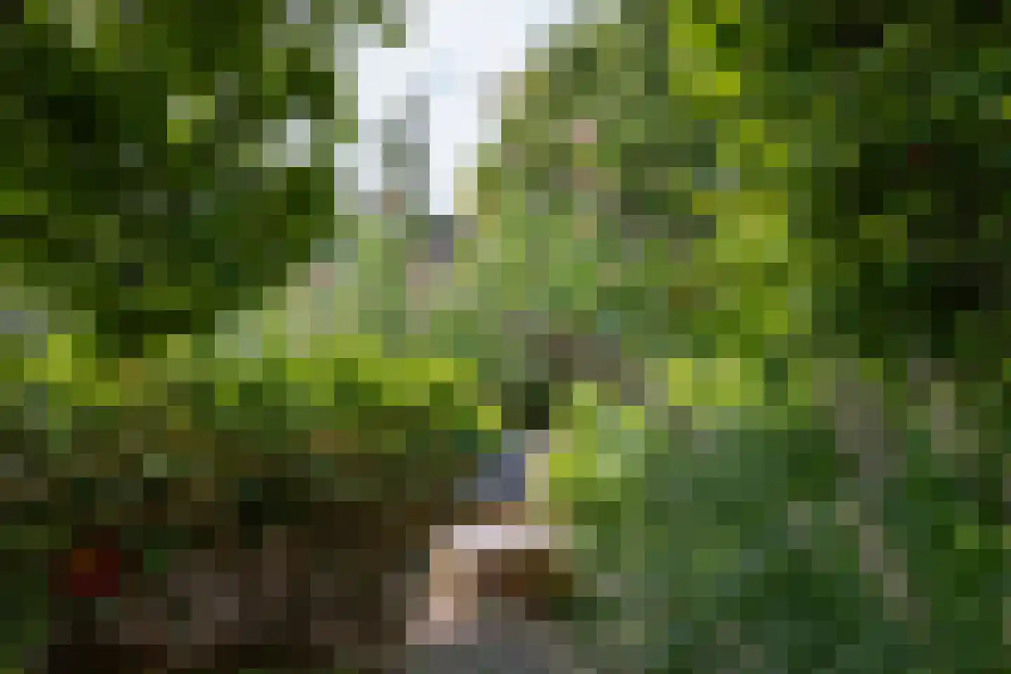 Doggersbanklaan 6 Reeuwijk thumbnail 33