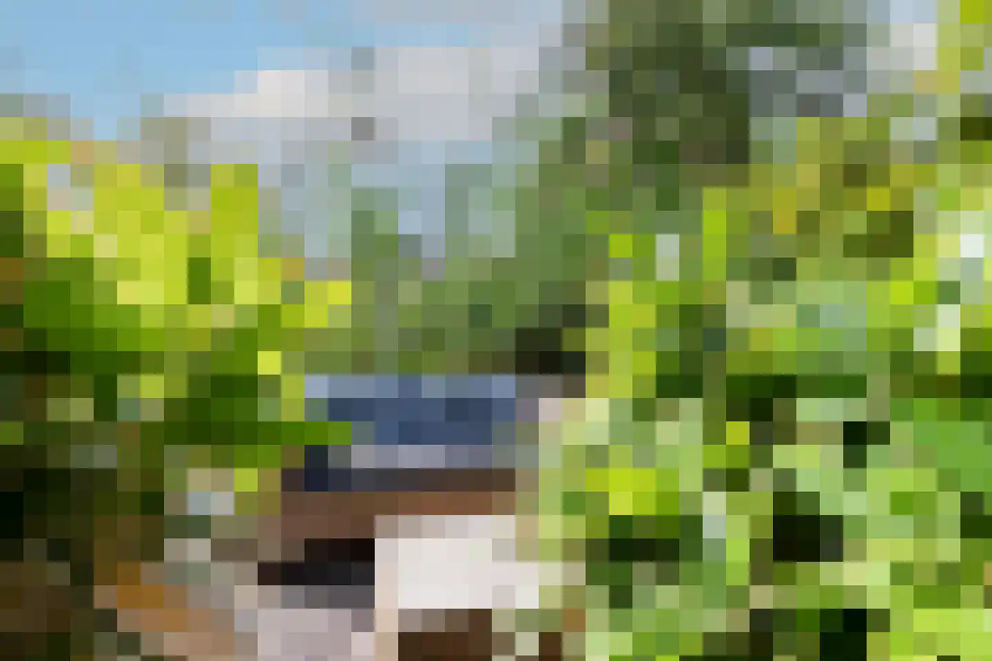 Doggersbanklaan 6 Reeuwijk thumbnail 34